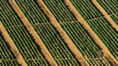 Wallpaper - professional stock photography