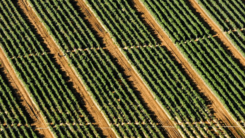 Wallpaper - professional stock photography